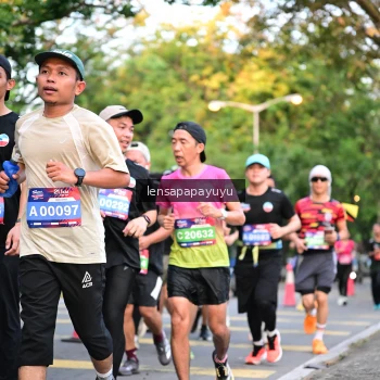 Runner Photo 3952980