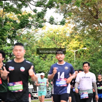 Runner Photo 3954039