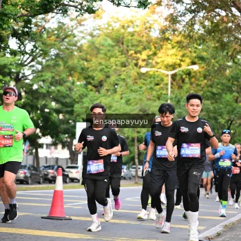 Runner Photo 3954516