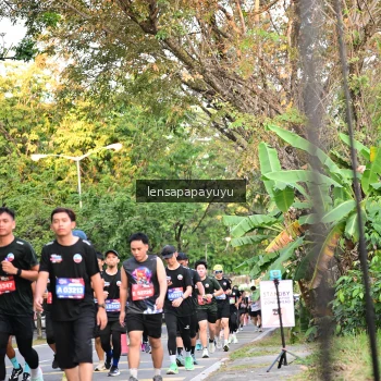 Runner Photo 3956542