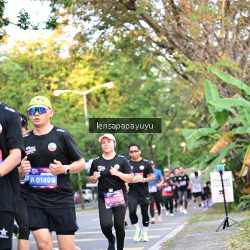 Runner Photo 3956579