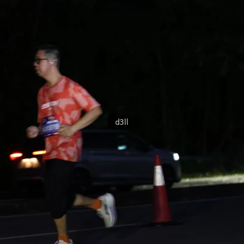 Runner Photo 3956646