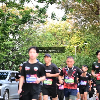 Runner Photo 3956901