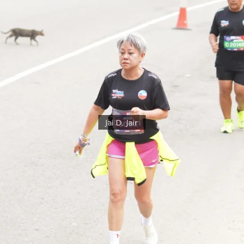 Runner Photo 3963459