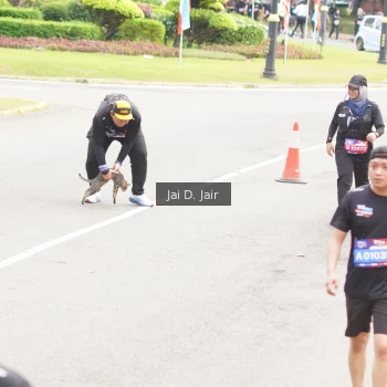 Runner Photo 3963537