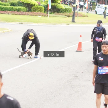 Runner Photo 3963567