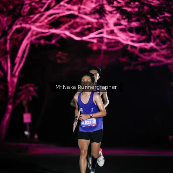 Runner Photo 3972845