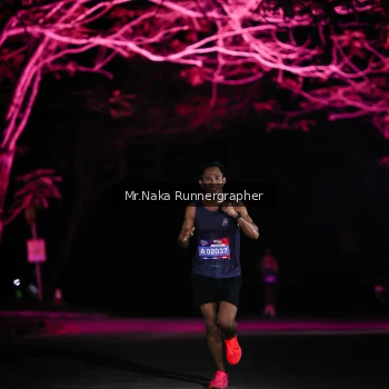 Runner Photo 3972848