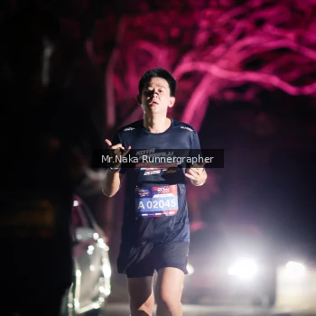Runner Photo 3973026