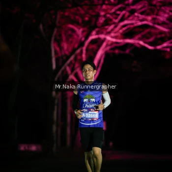 Runner Photo 3973066