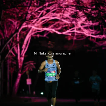 Runner Photo 3973091