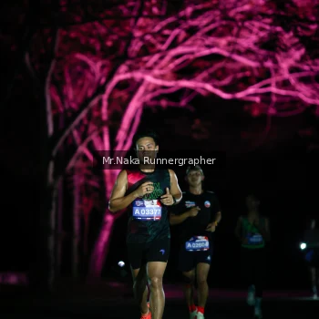 Runner Photo 3973158