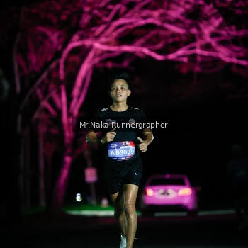Runner Photo 3973229