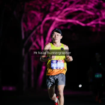 Runner Photo 3973256