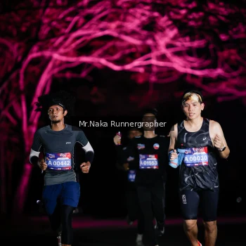 Runner Photo 3973374