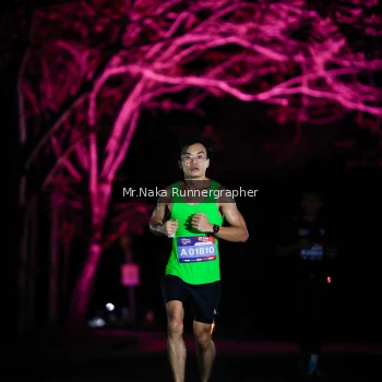 Runner Photo 3973387