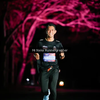 Runner Photo 3973404