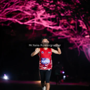 Runner Photo 3973406