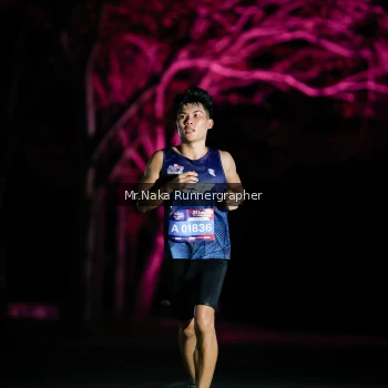 Runner Photo 3973500