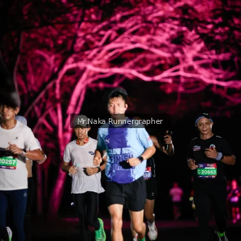 Runner Photo 3973577