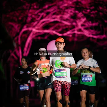 Runner Photo 3973628