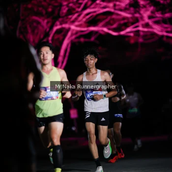 Runner Photo 3973647