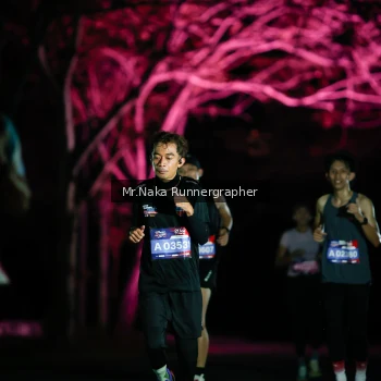 Runner Photo 3973753