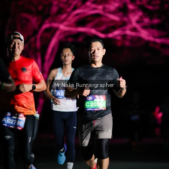 Runner Photo 3973886