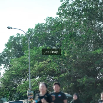 Runner Photo 3976350