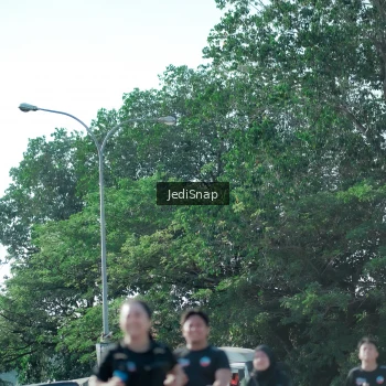 Runner Photo 3976358