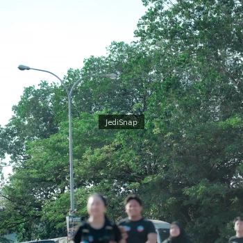 Runner Photo 3976492