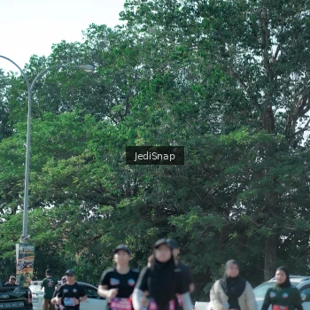 Runner Photo 3977884