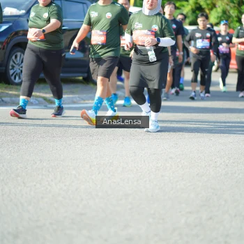 Runner Photo 3978079