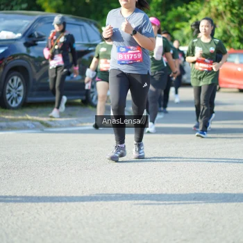 Runner Photo 3978480