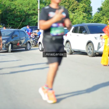 Runner Photo 3984042