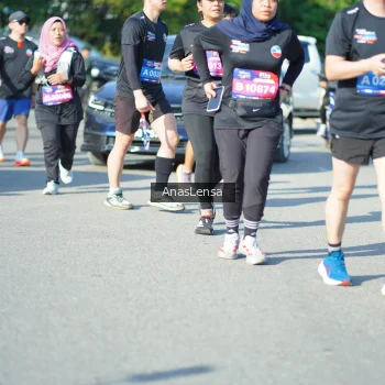 Runner Photo 3986744