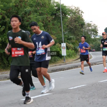 Runner Photo 4002253