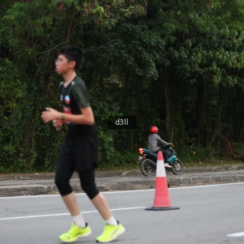 Runner Photo 4002395
