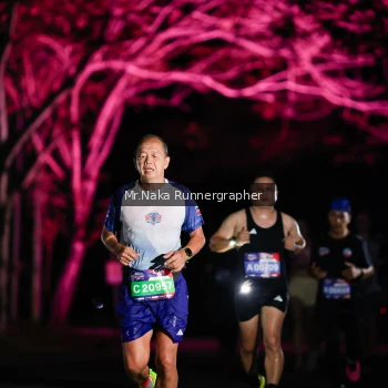 Runner Photo 4005159