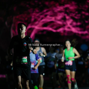 Runner Photo 4005194