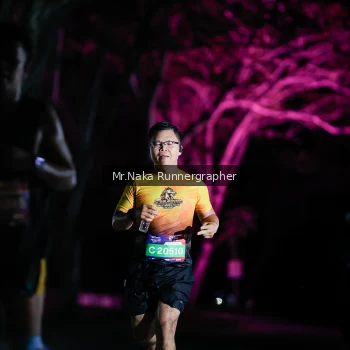 Runner Photo 4005245