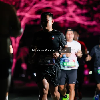 Runner Photo 4005297