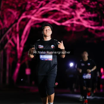 Runner Photo 4005342