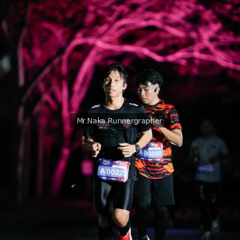 Runner Photo 4005343