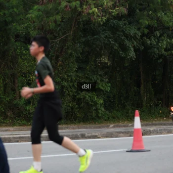 Runner Photo 4007887