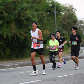 Runner Photo 4009207