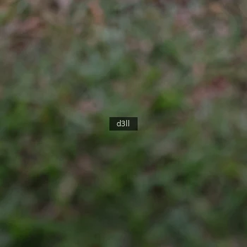 Runner Photo 4013980
