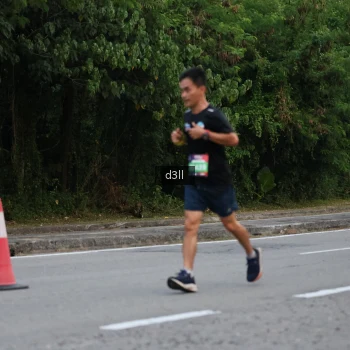 Runner Photo 4015798