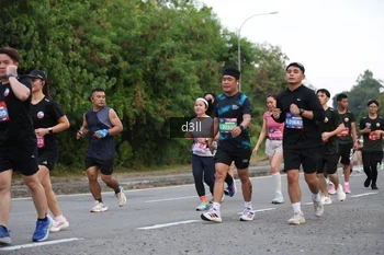 Runner Photo 4016794