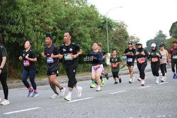 Runner Photo 4019240